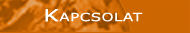 T�rk�pes keres� rendszerek, online marketing